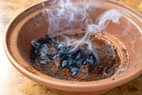 do wasps like cigarette smoke Home remedies against wasps: Does smoked coffee grounds help? – VapoWesp