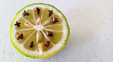 Mücken vertreiben mit Hausmitteln: Was wirklich hilft gegen Mücken