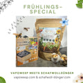 Frühlingsspecial: VapoWesp Starterset 🐝 & Schafwolldünger 1,5 Kg 🐑🐏 - VapoWesp